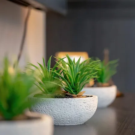 Stylowe Z Balkonem Blisko Atlas Areny W łodzi By Renters Łódź